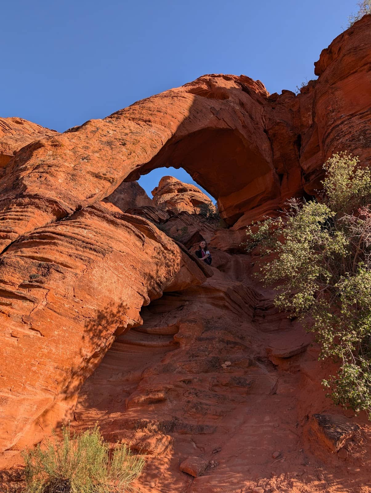 Peaceful Nature Therapy