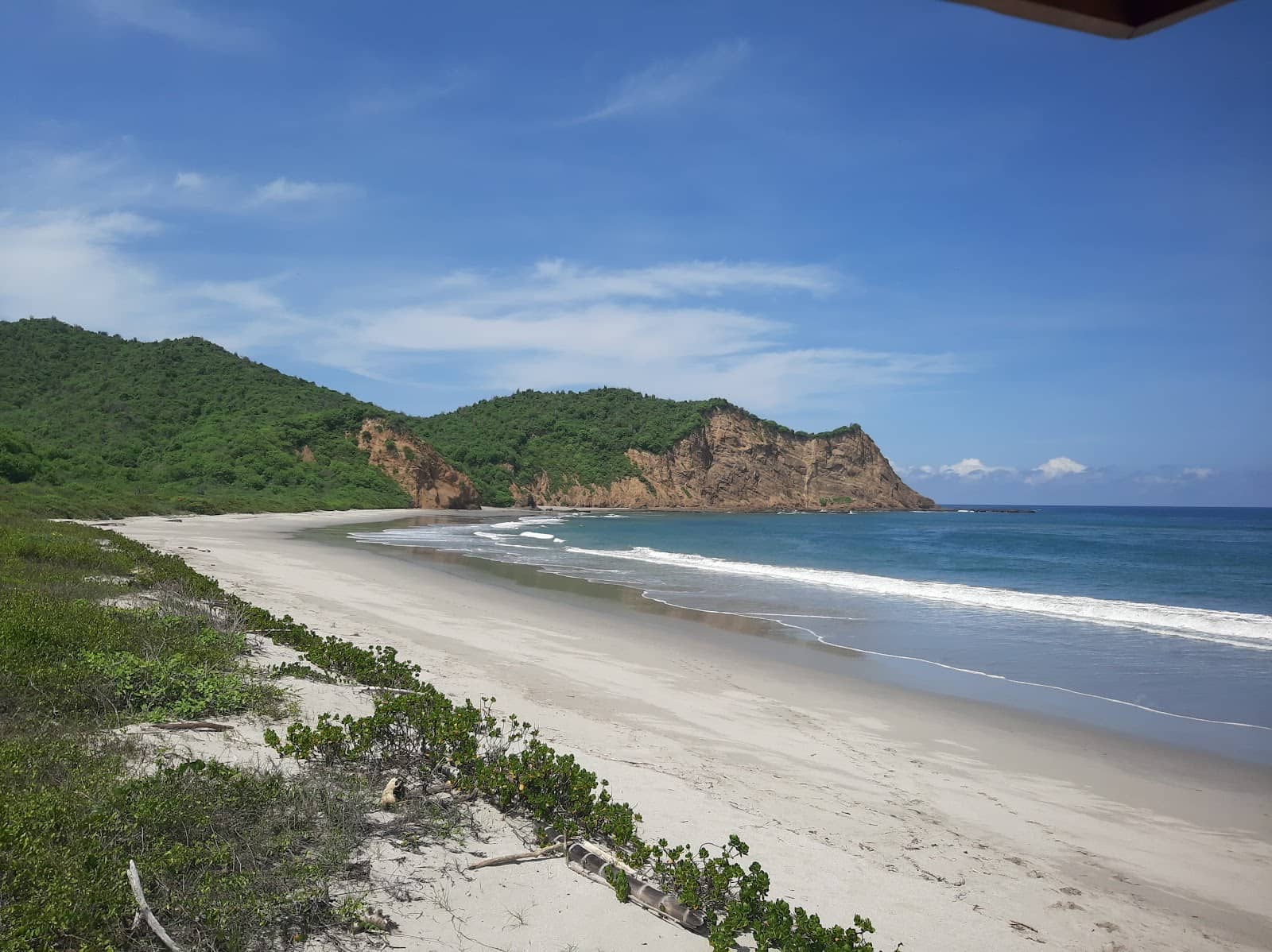 Foliage-Covered Cliffs