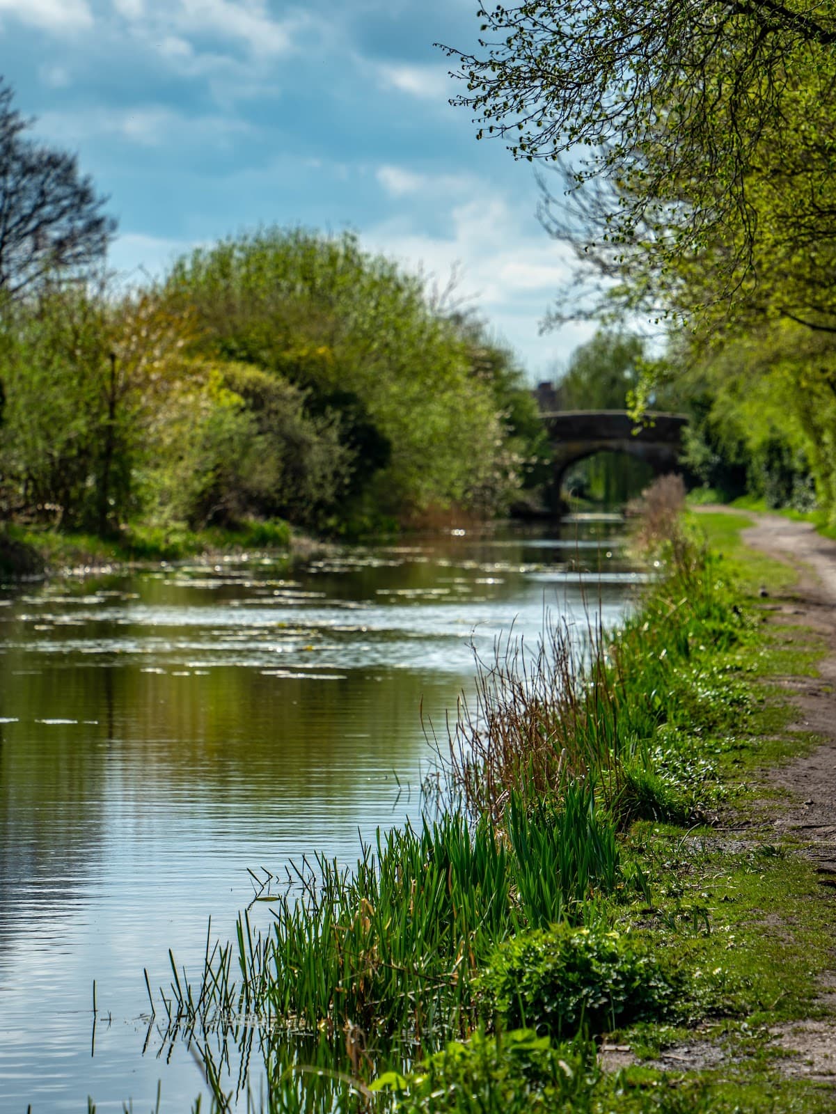 Shrewsbury and Newport Canal Telford - Image 1