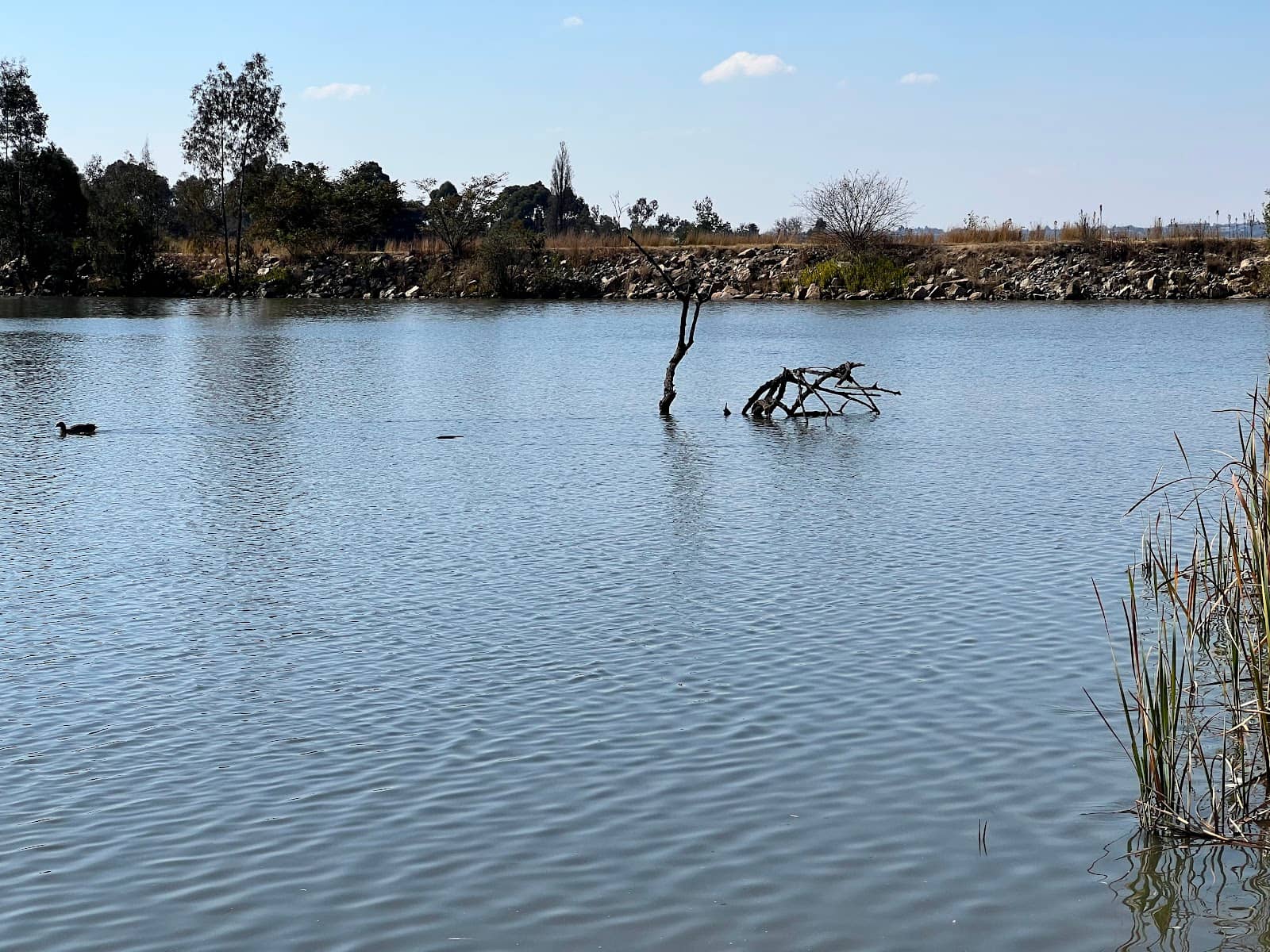 Nature Trails & Bushveld