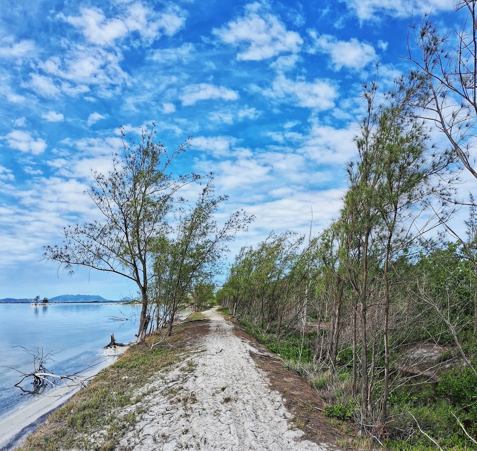 Restinga de Massambaba (Costa do Sol State Park) - Image 1