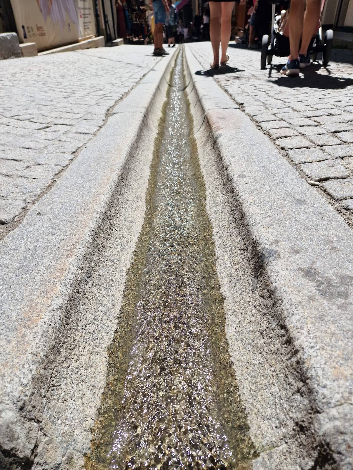 Vertical photo