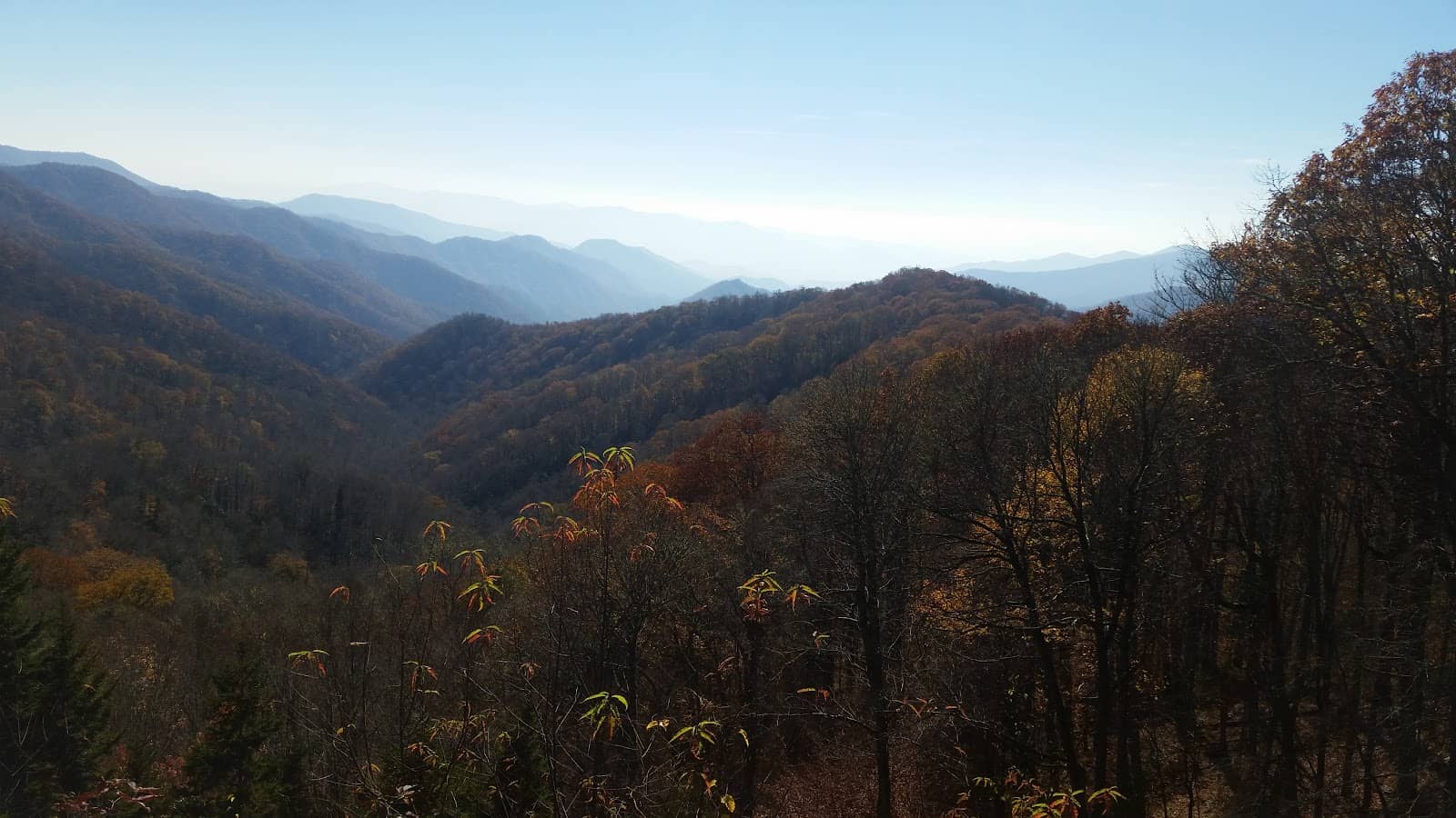 Mountains-to-Sea Trail Access