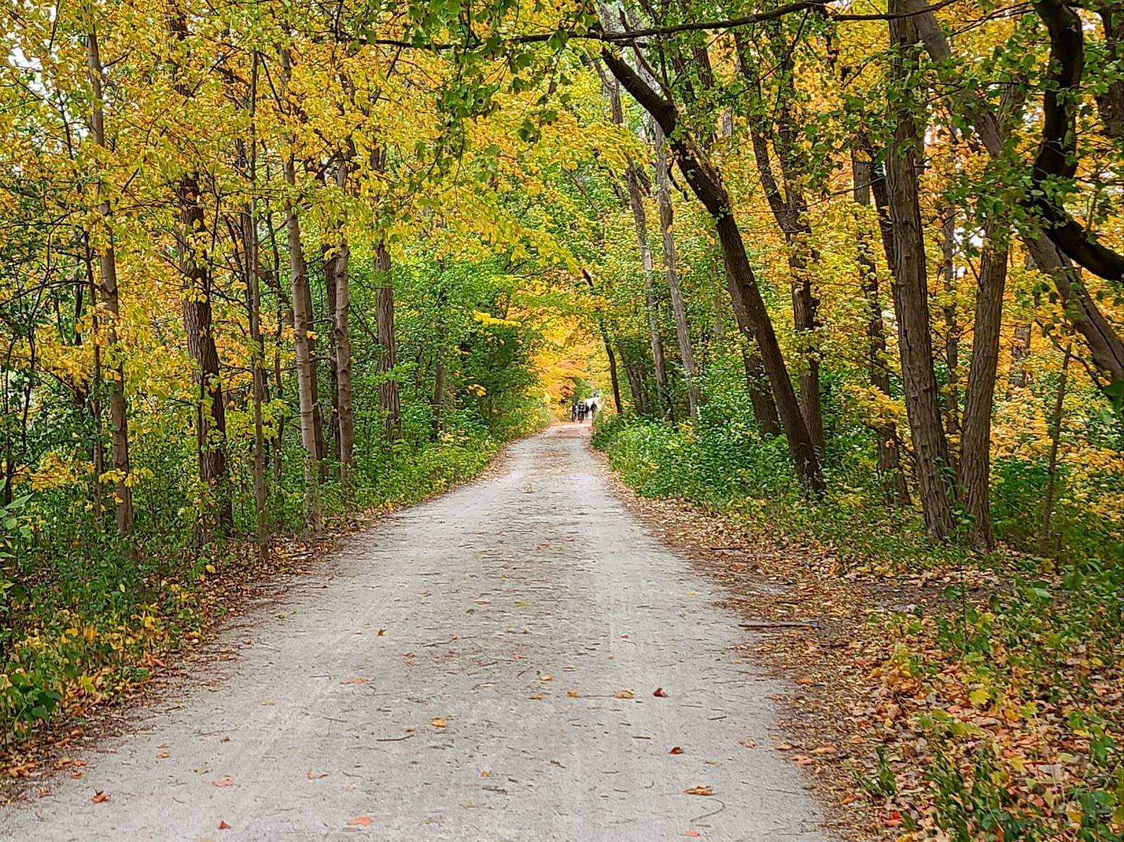 Charming North Shore Towns