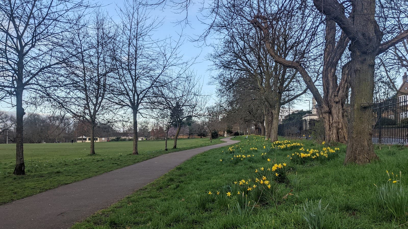 Acton Park - Image 1