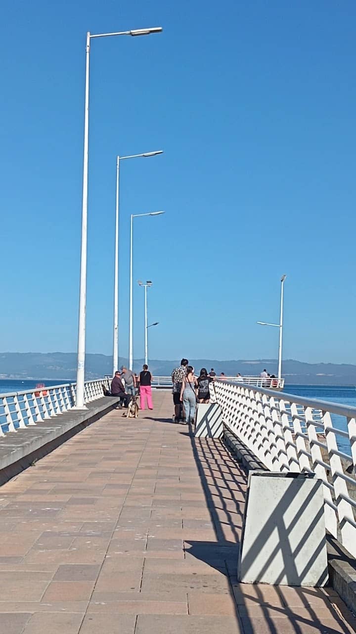 Vertical photo