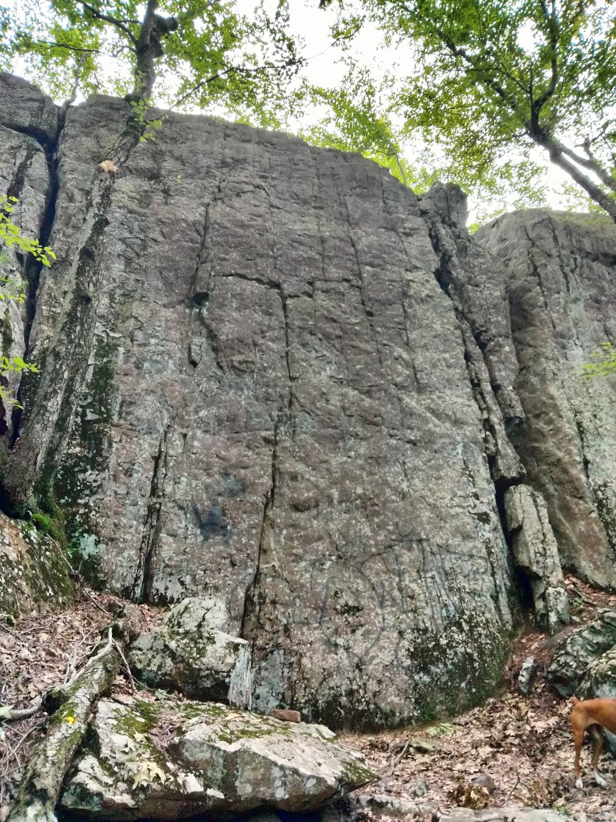 Will Warren's Den - Image 1