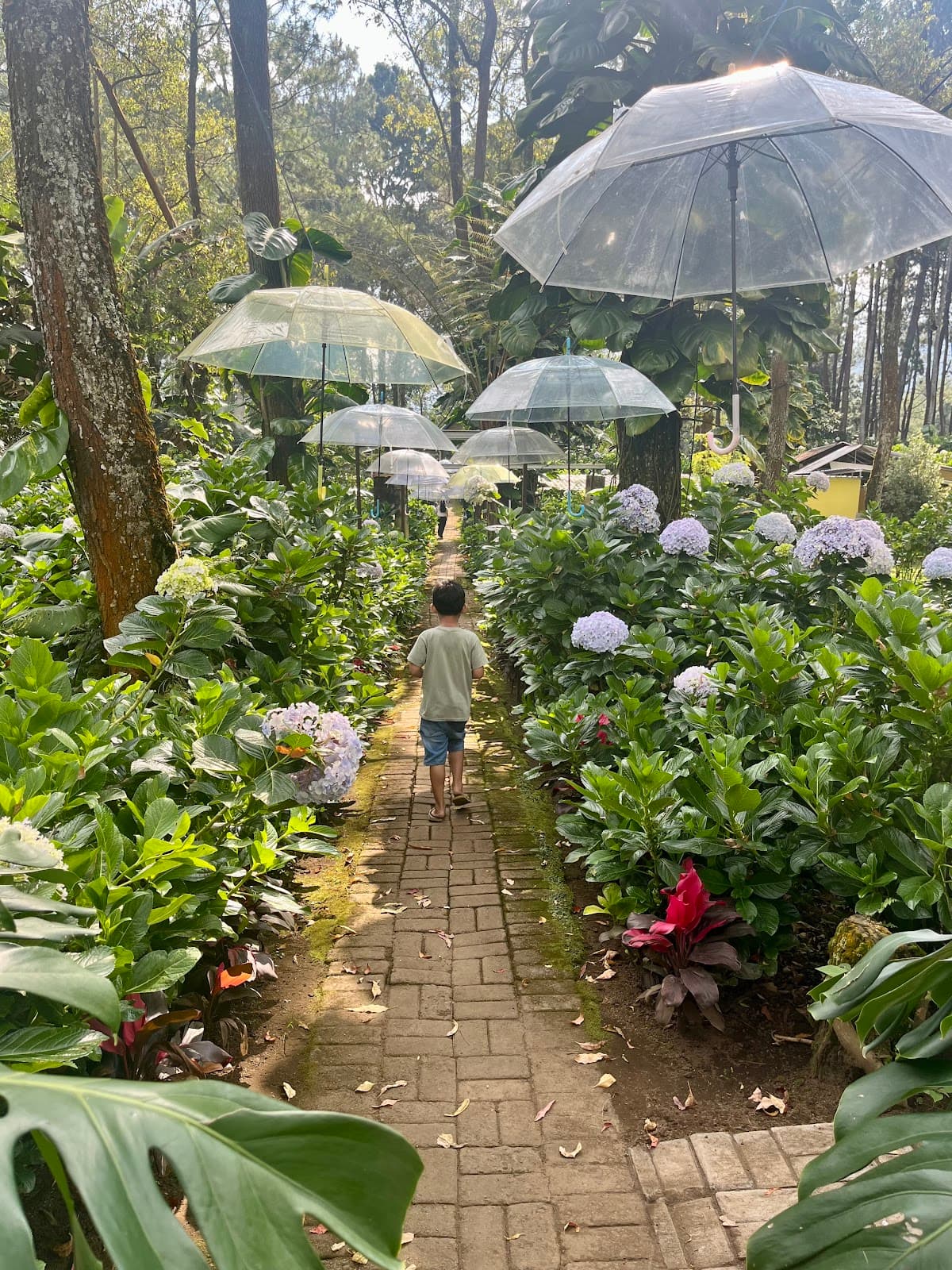 Taman Bunga Coban Talun - Image 1