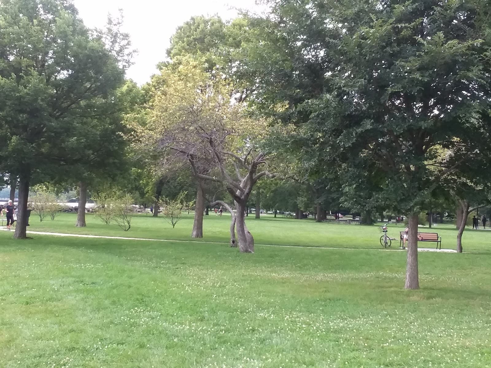 Elliott Park - Image 1