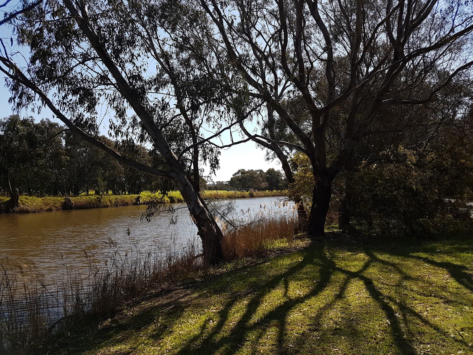 Barwon River Trail Geelong - Image 1
