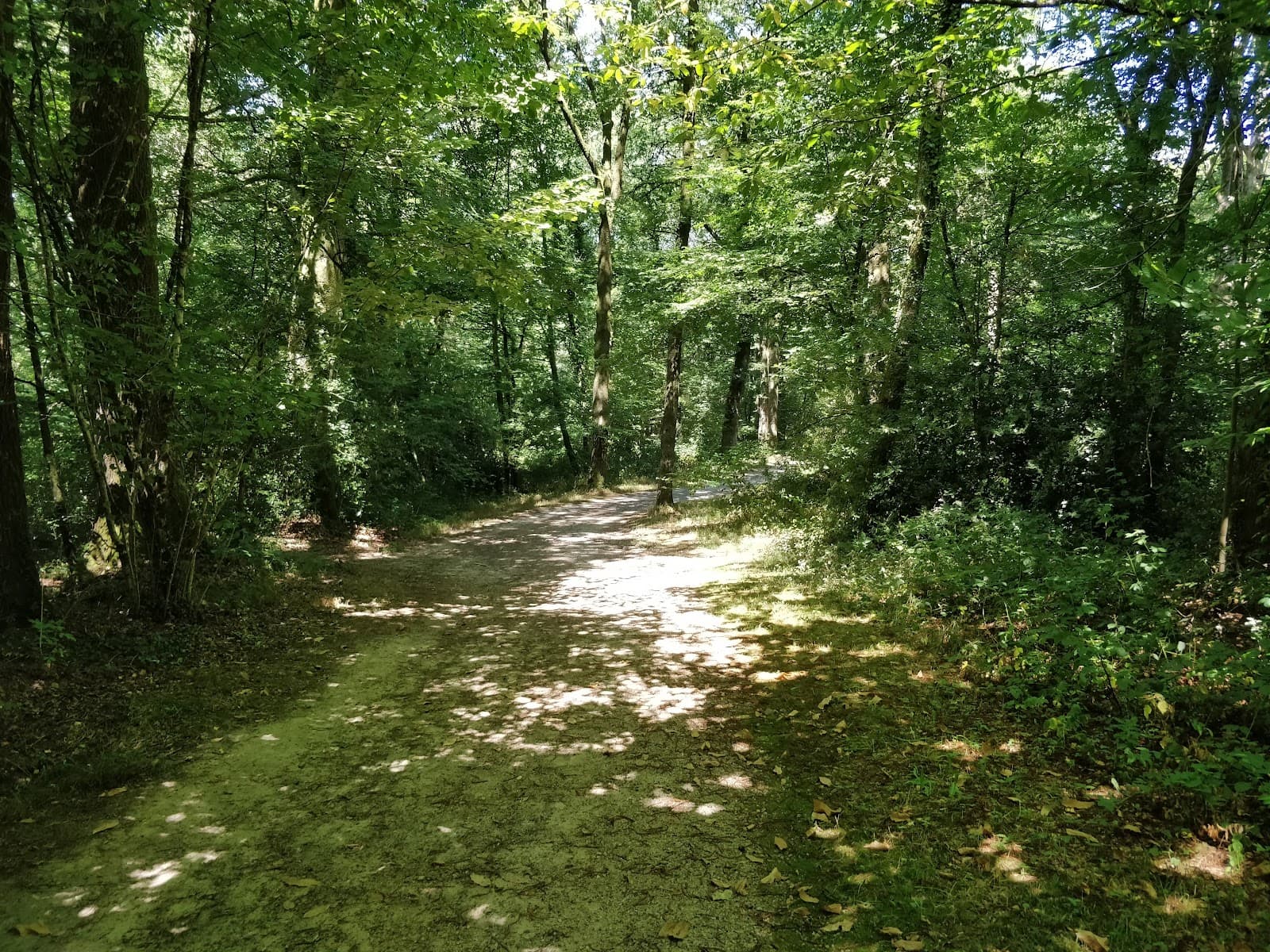 Bois de la Bastide - Image 1