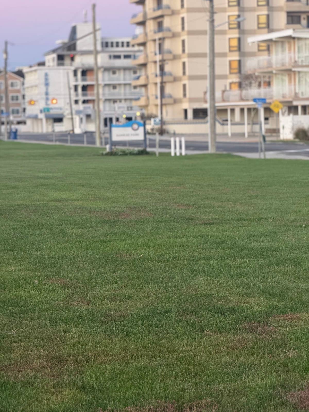 Spacious Open Grounds