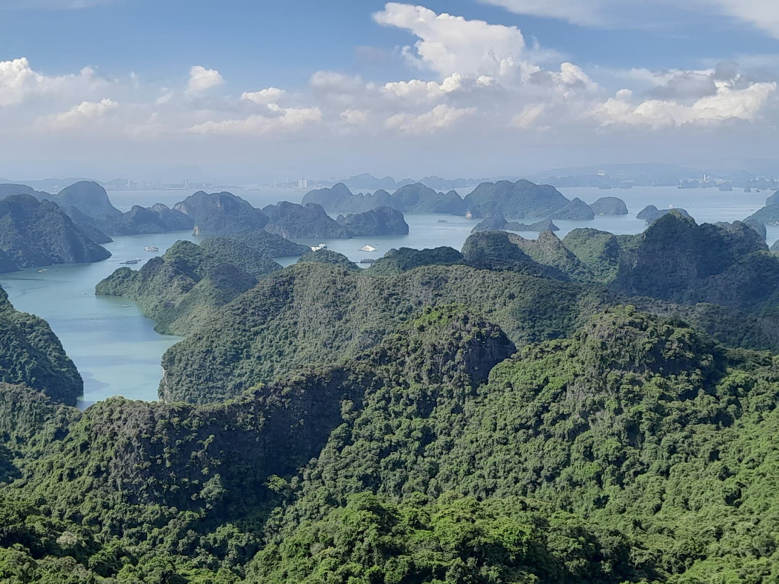 Cat Ba National Park - Image 1