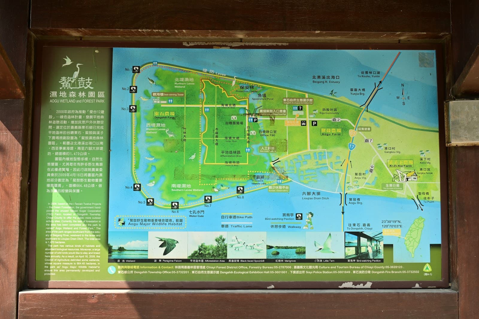 Aogu Wetlands and Forest Park - Image 1
