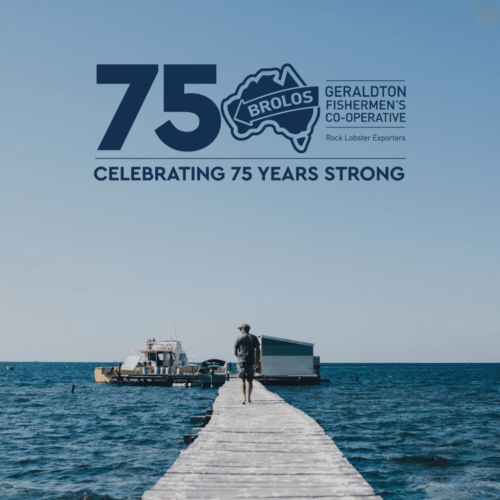 Flotsam + Jetsam Exhibition