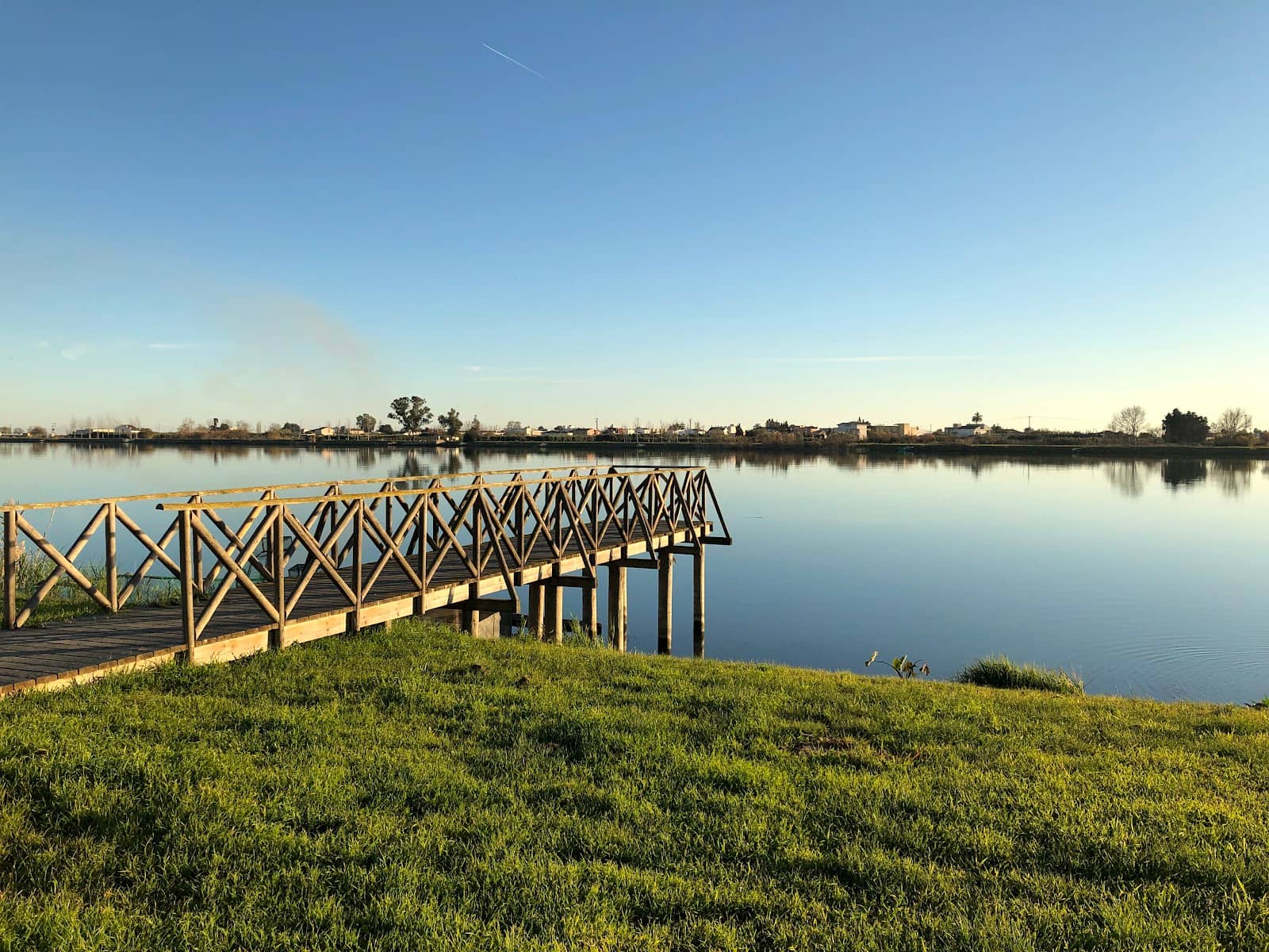 Tranquil Walking Paths