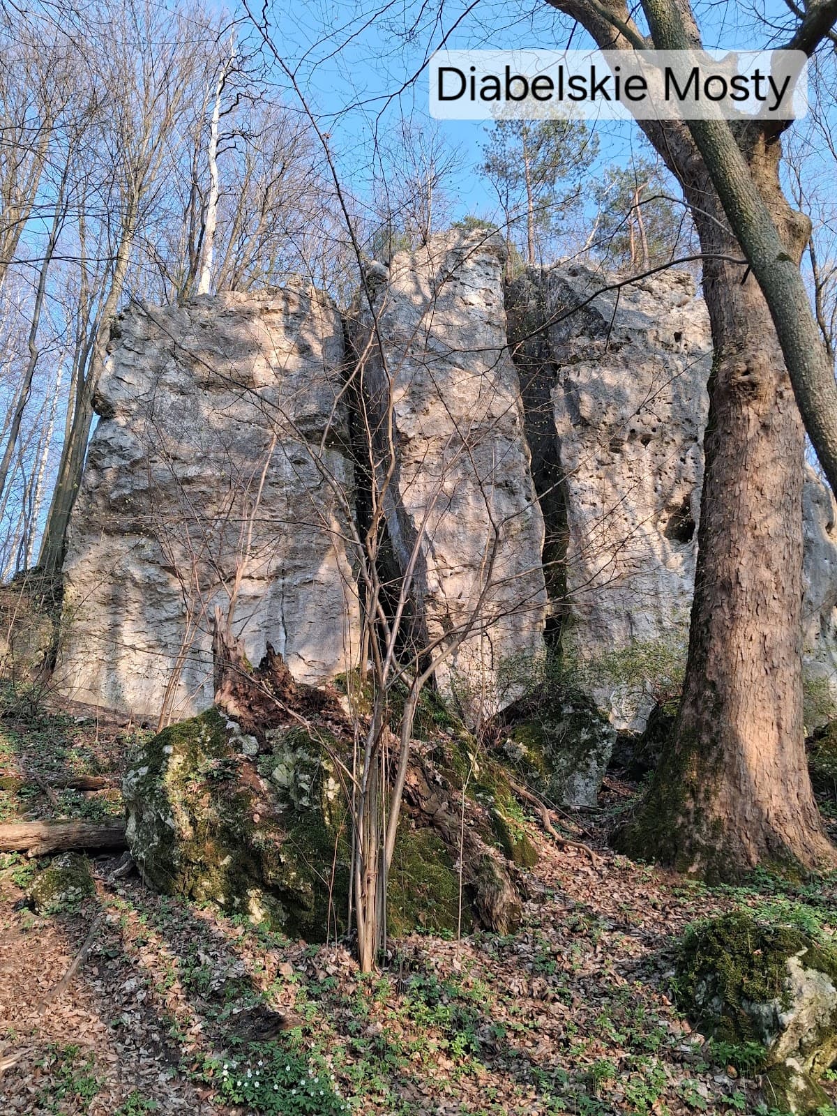 Parkowe Nature Reserve (Diabelskie Mosty) - Image 1