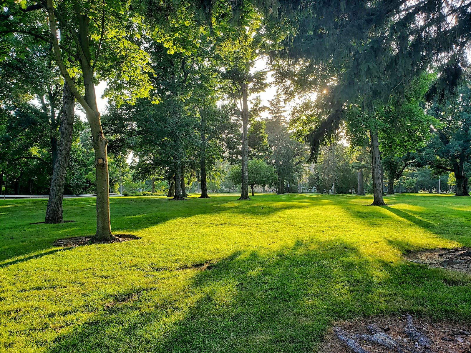 Saint Mary's College - Image 1