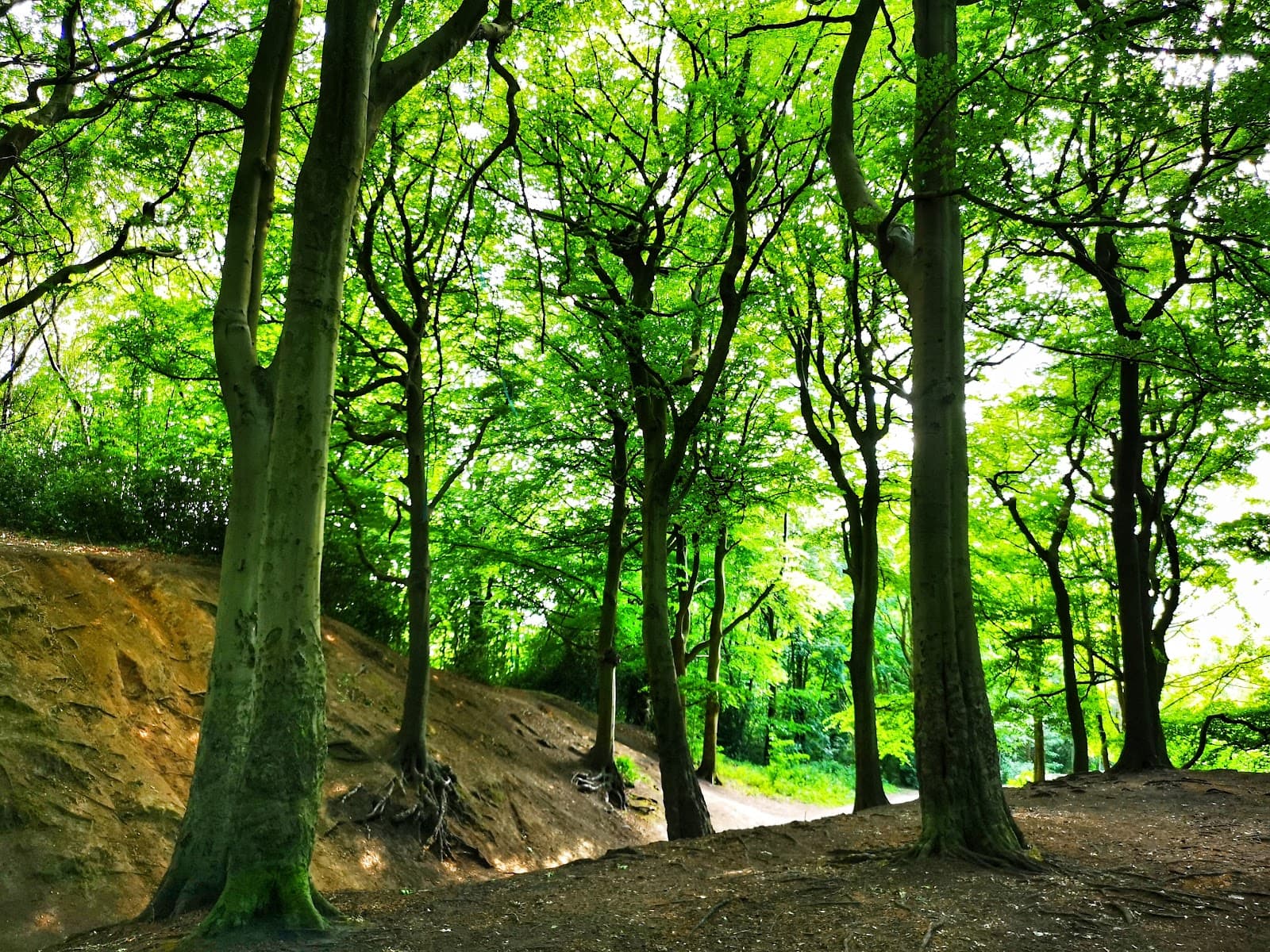 Prestwich Clough - Image 1
