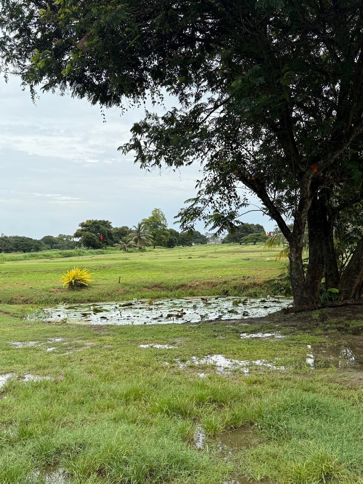 Lusignan Golf Course - Image 1