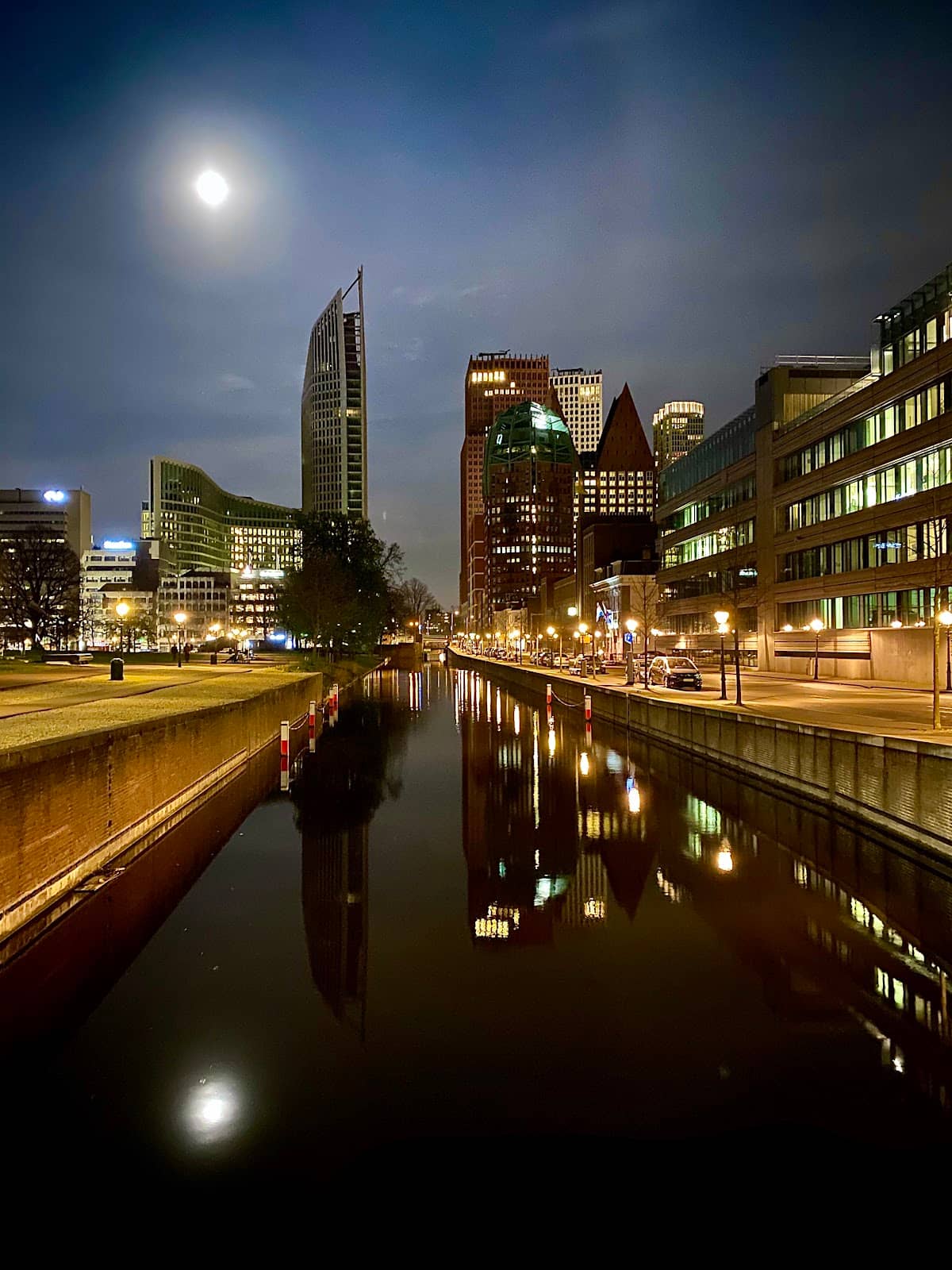 Skatepark & Animal Encounters