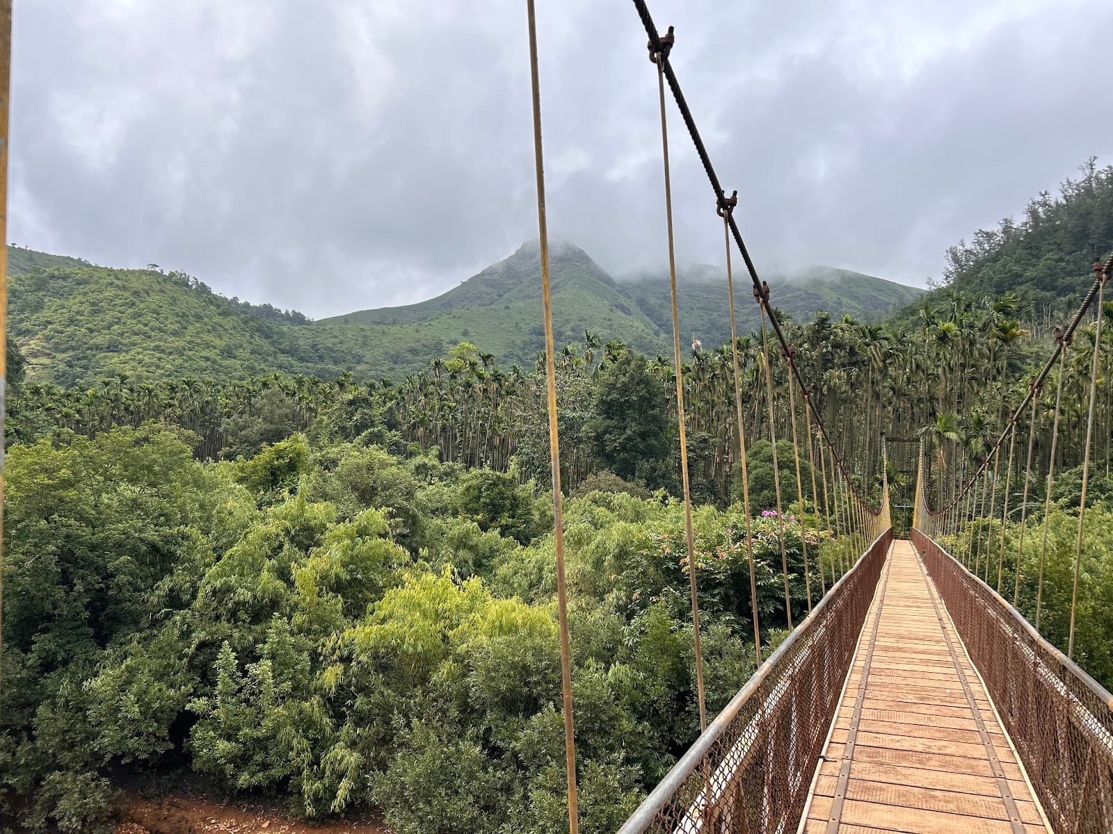 Balehonnur Hanging Bridge - Image 1