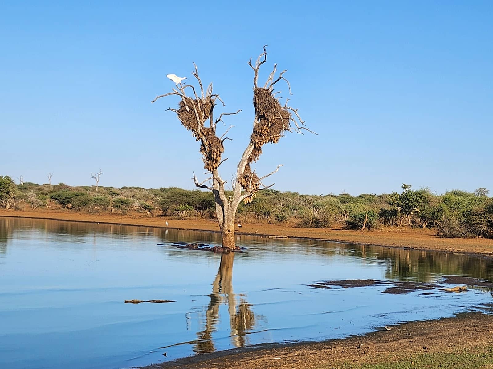 Birdwatching Paradise