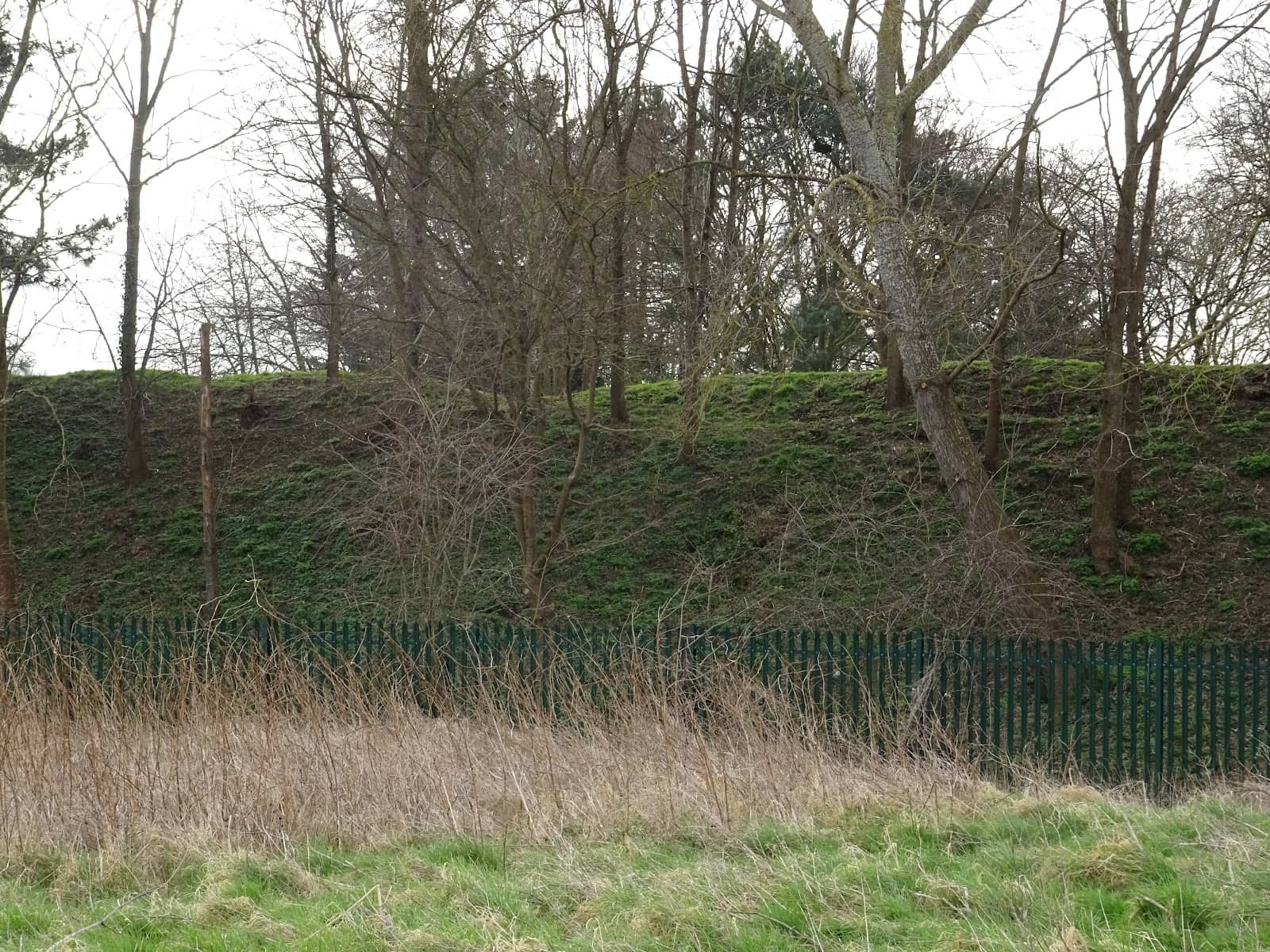 Historic Footpath