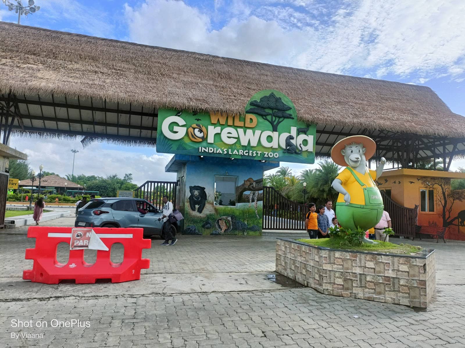 Jungle Safari Adventure