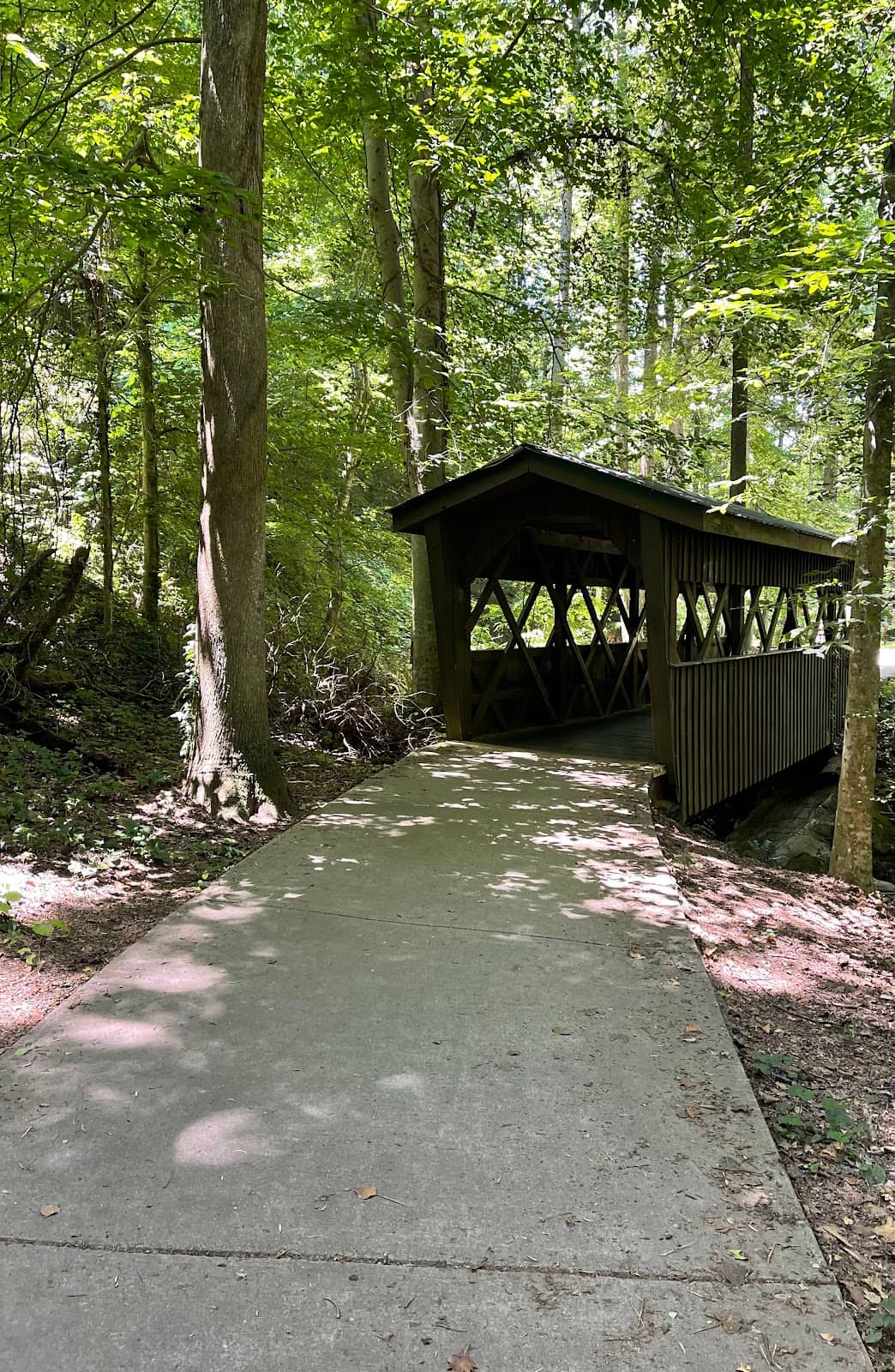 Gazebo & Picnic Spots