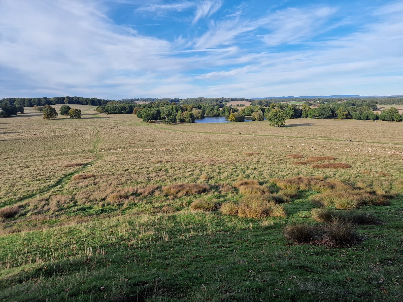 Petworth Park (Deer Park) - Image 1
