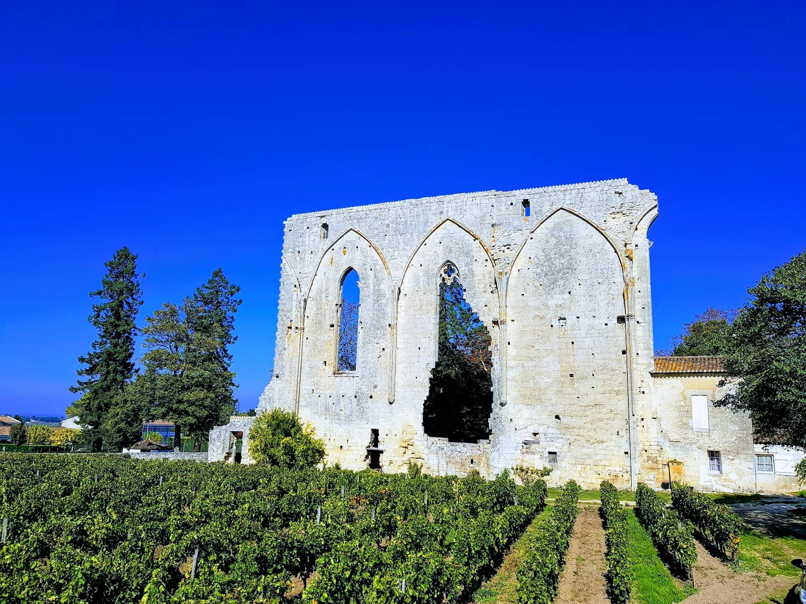 Wine Farm & Agriculture Insight