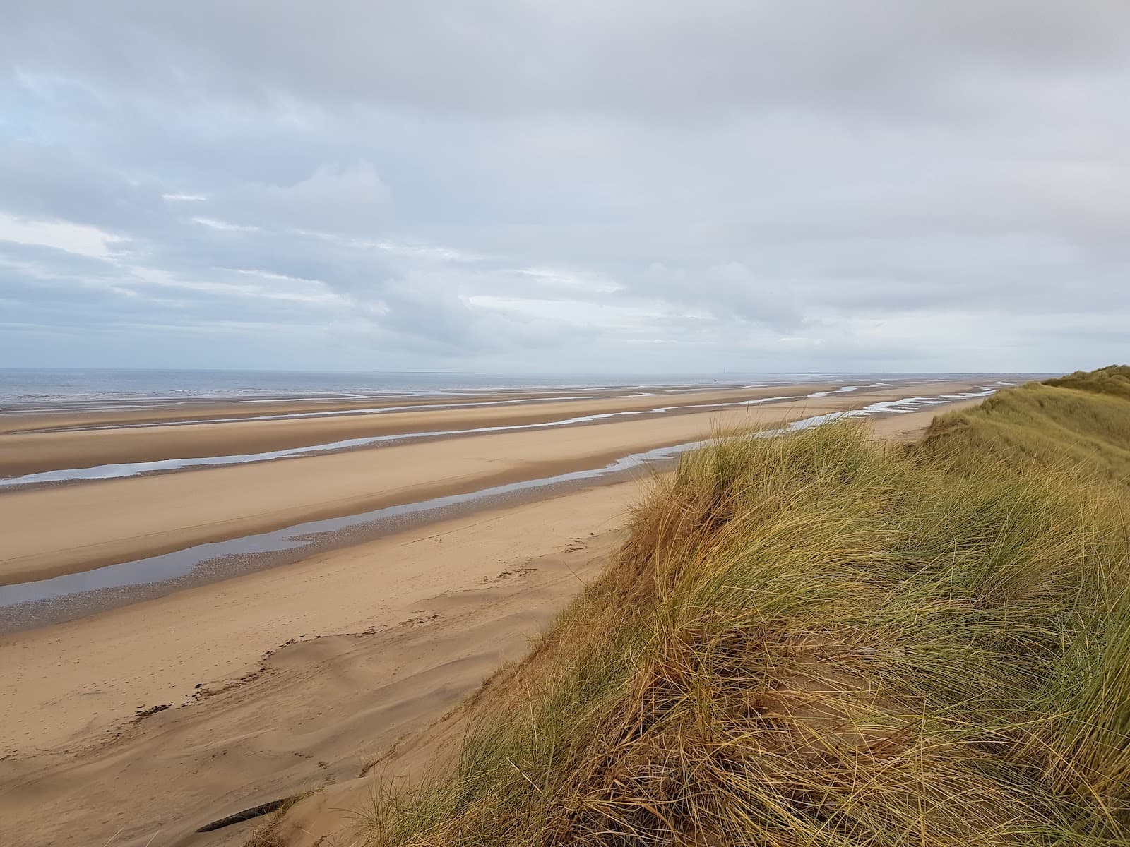 Formby Red Squirrel Reserve - Image 1