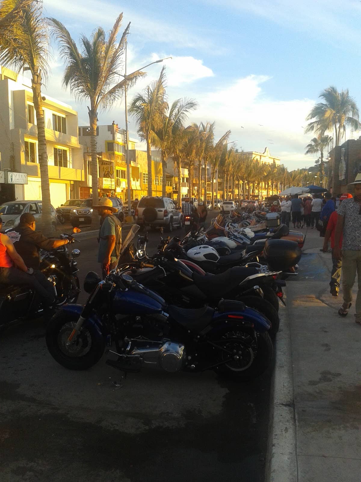 Carnaval Decorations