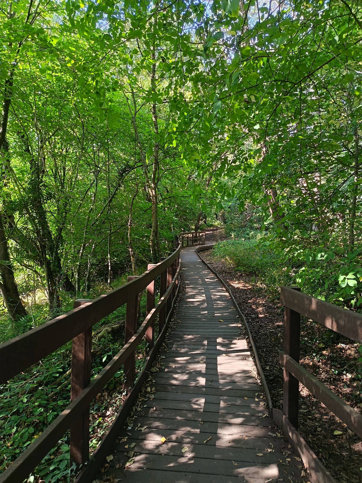 Vertical photo