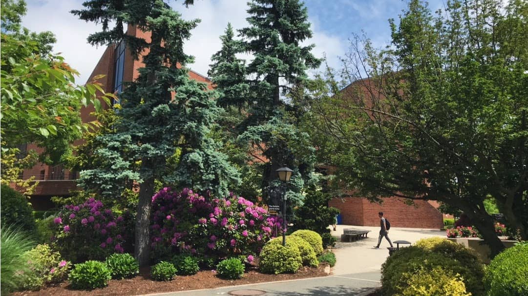 Campus Wildlife Encounters