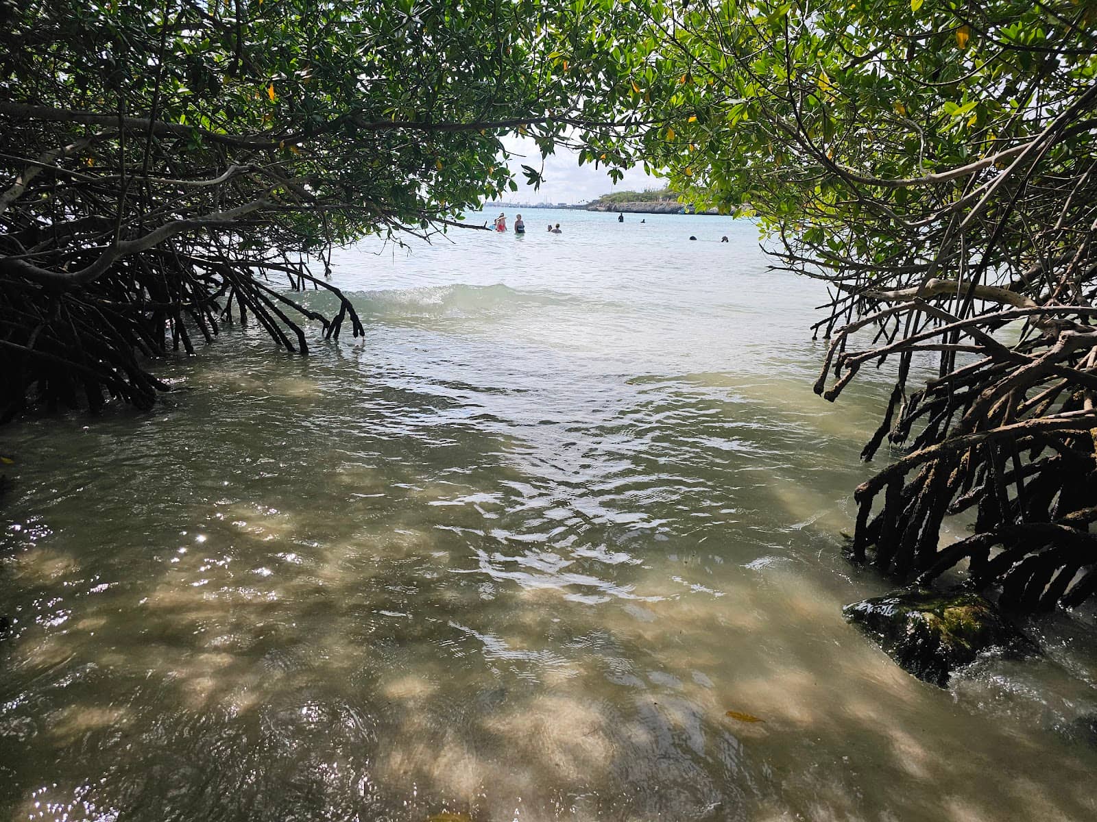 Vibrant Underwater World