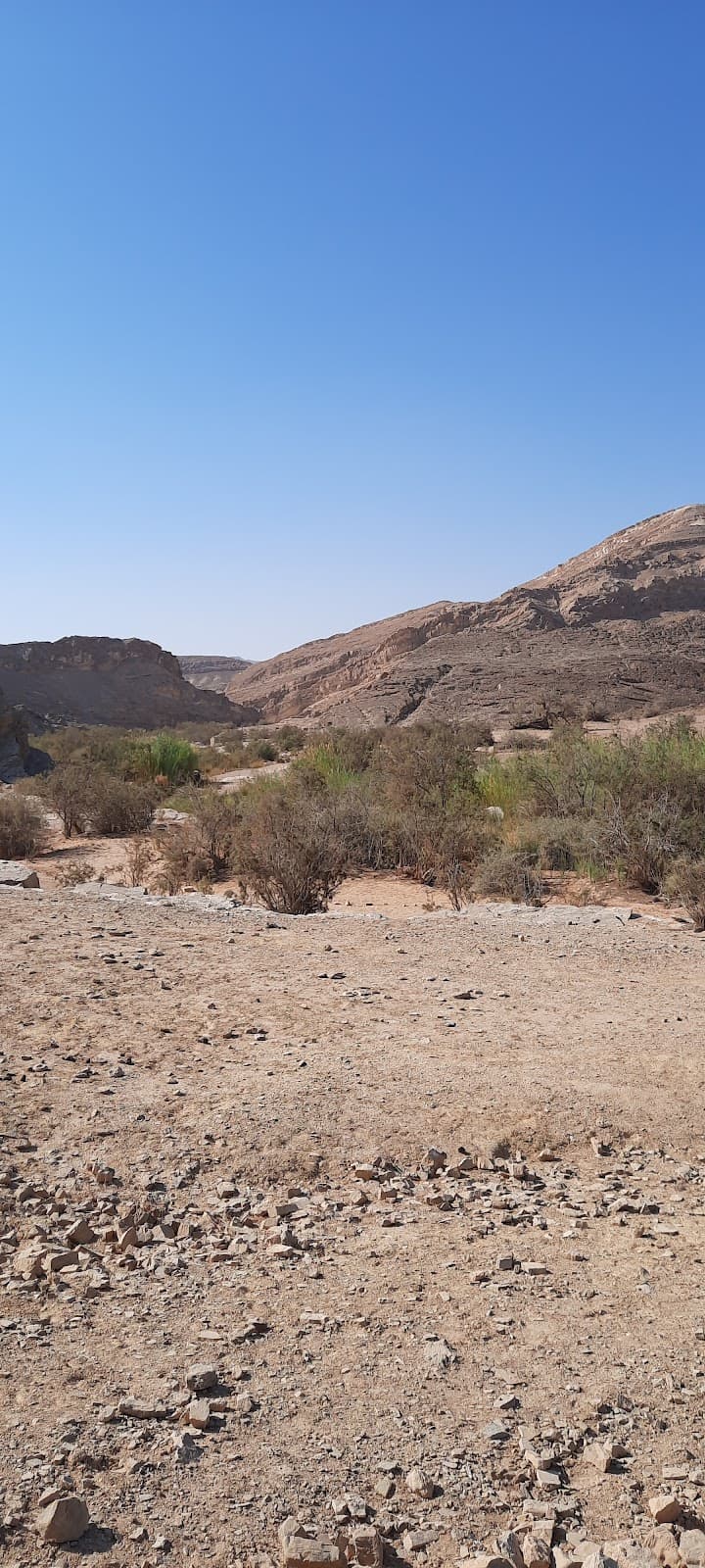 Nekarot Canyon - Image 1