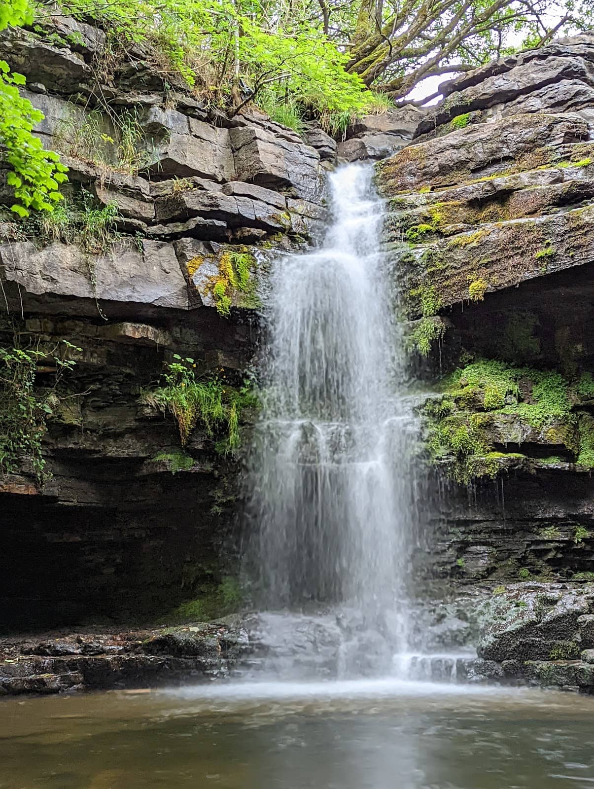 Bowlees Visitor Centre