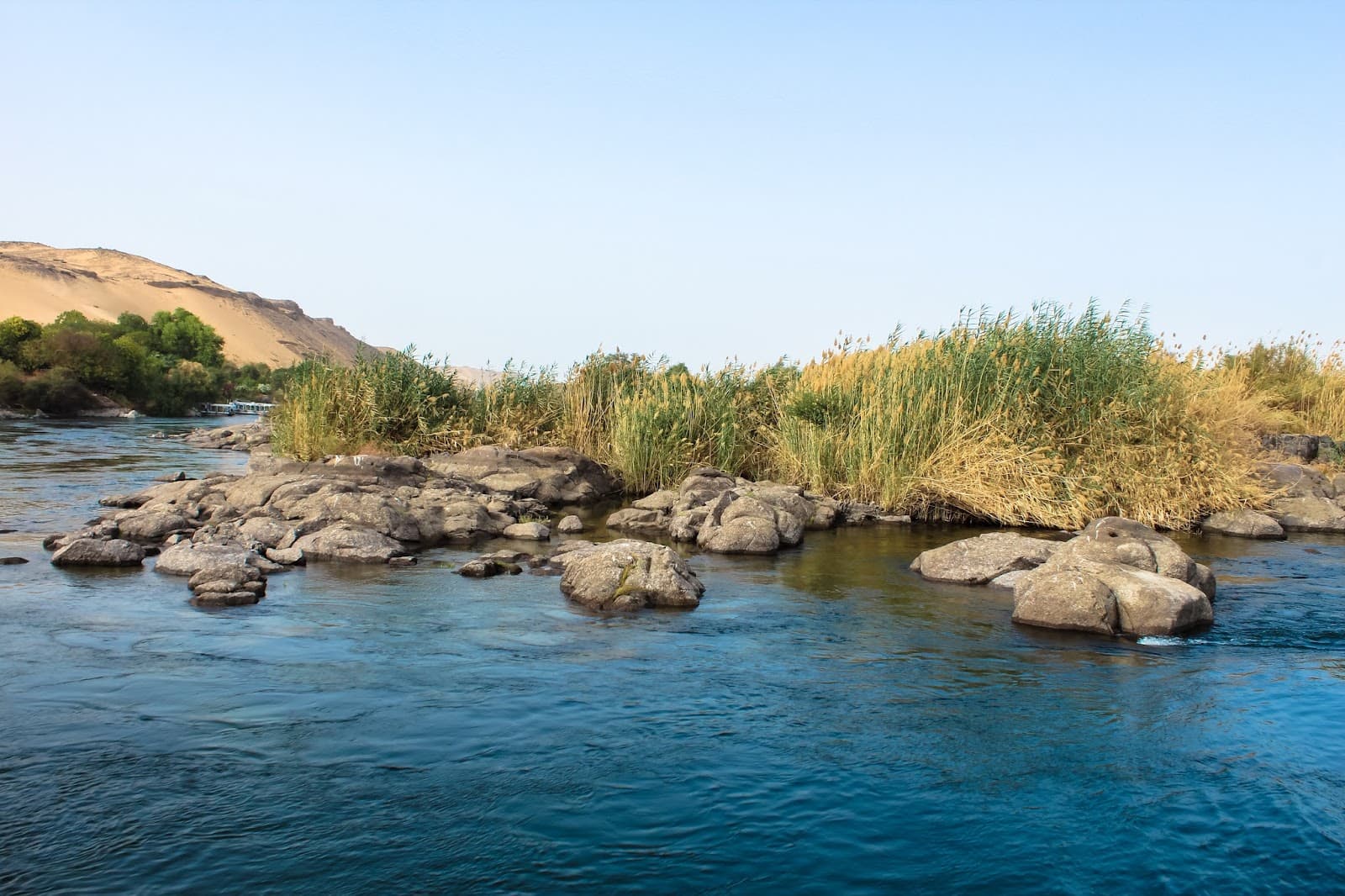 Saluga and Ghazal Protected Area - Image 1