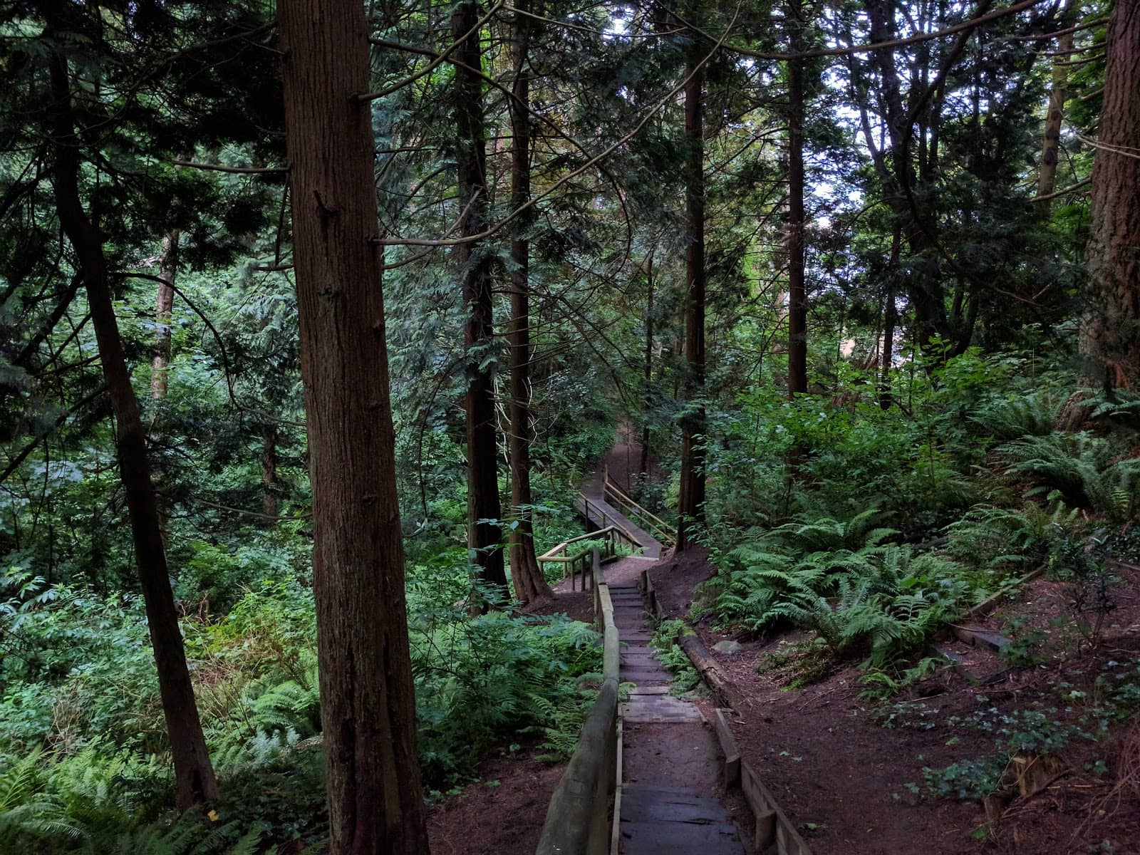 Vertical photo