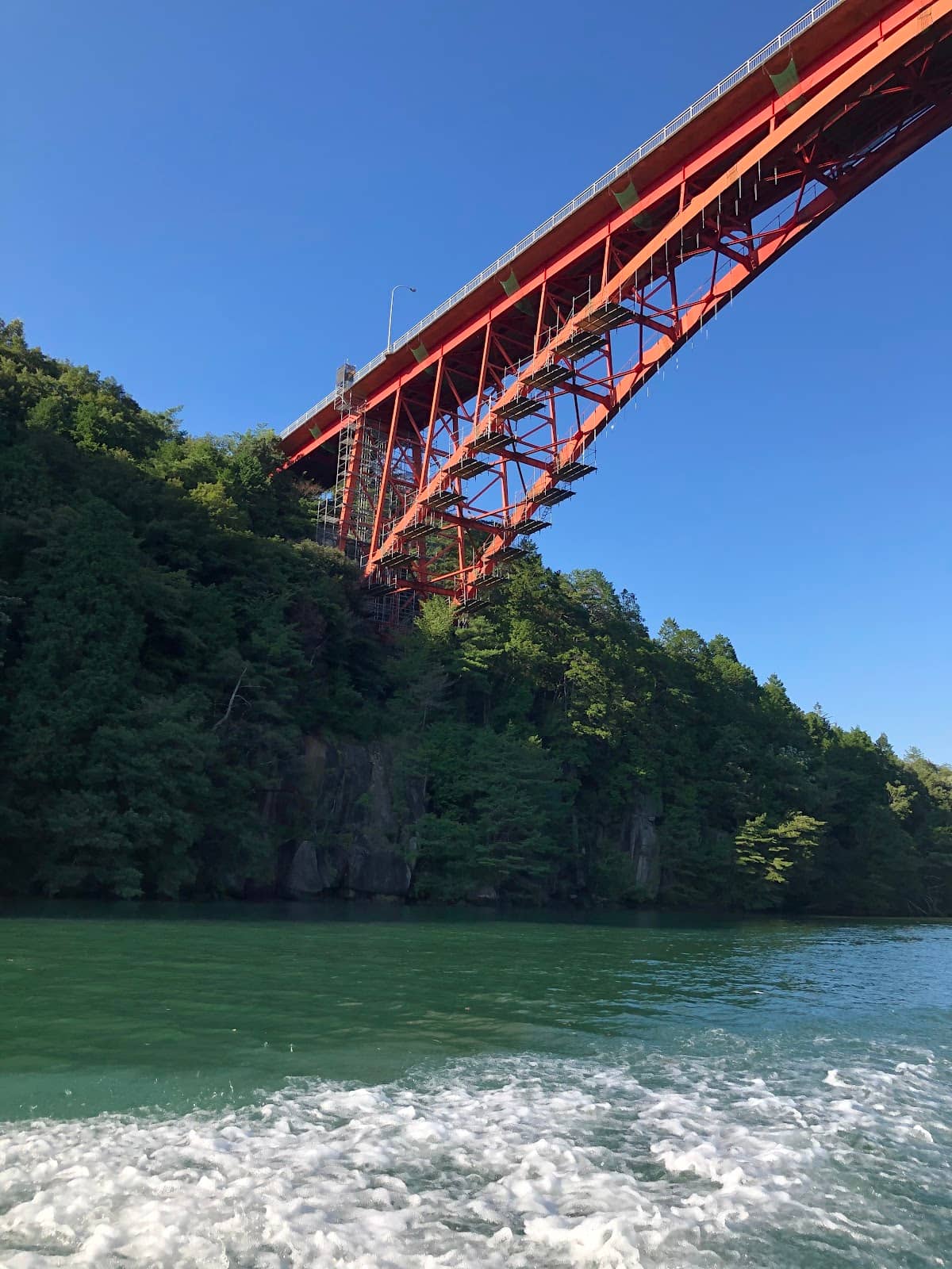 Sightseeing Cruise