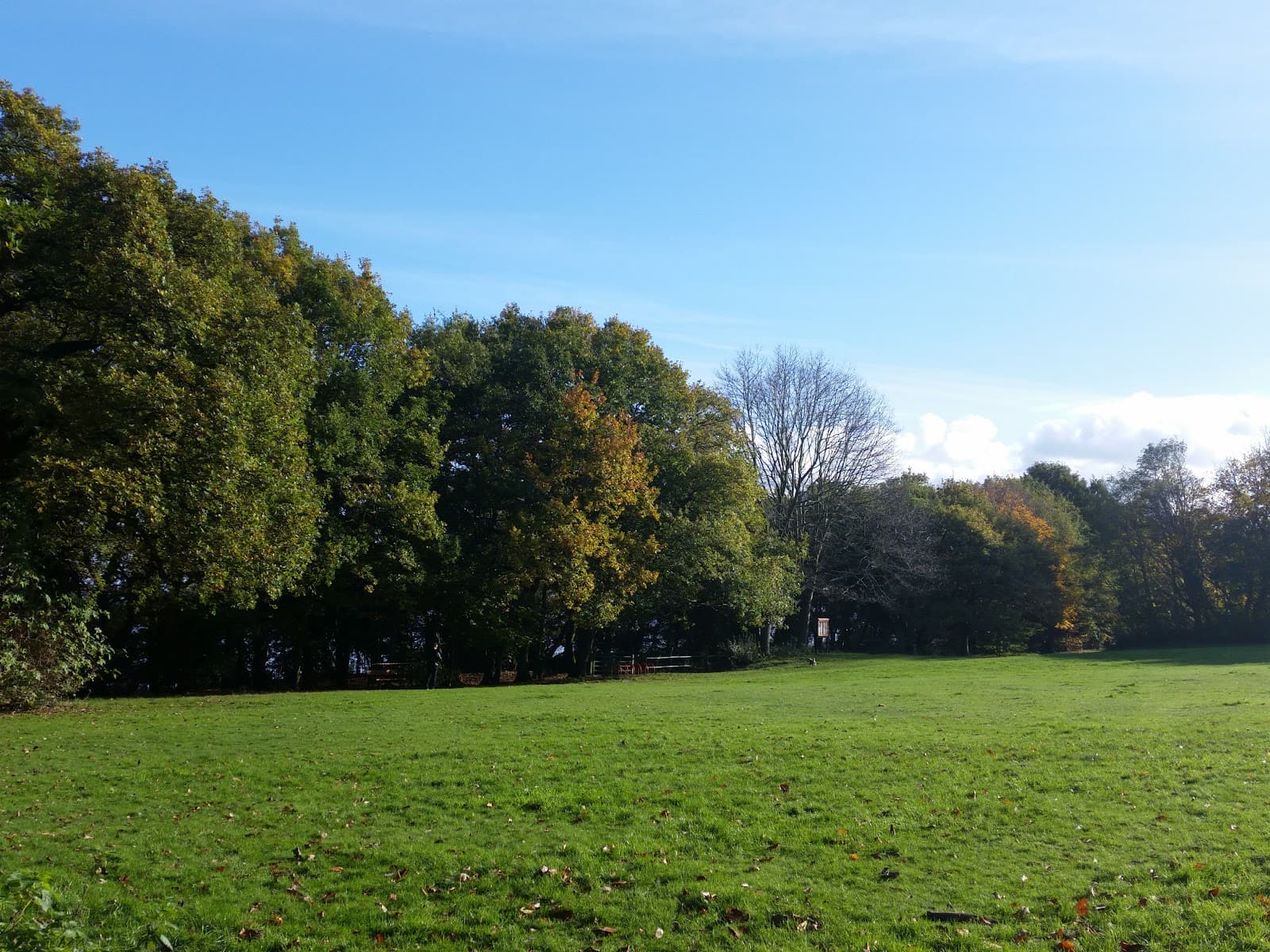 Eastham Country Park - Image 1