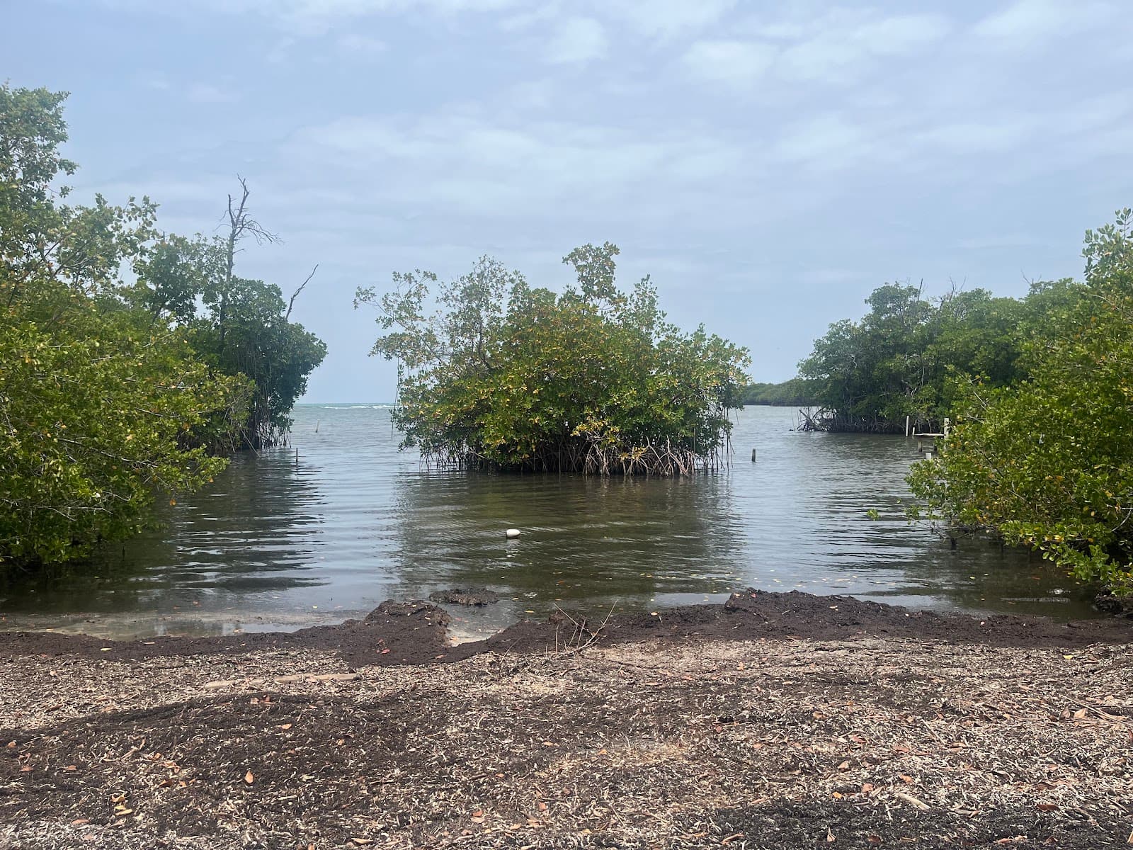Punta Cucharas Nature Reserve - Image 1