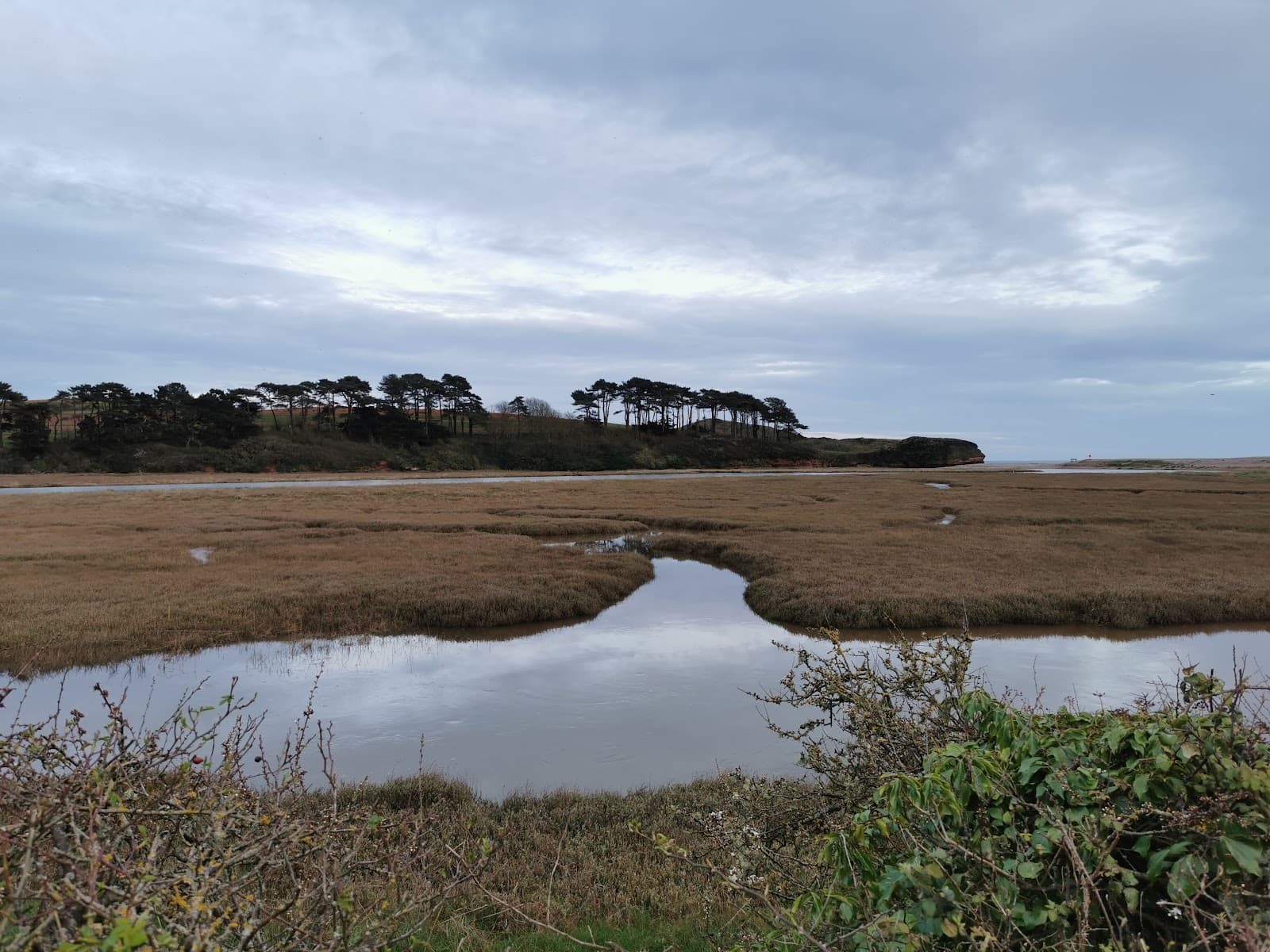 Otter Estuary Nature Reserve - Image 1