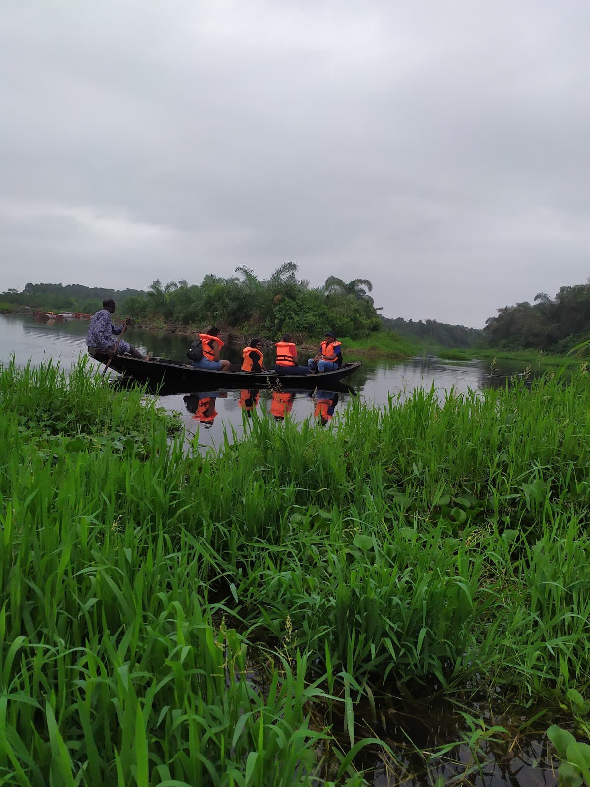 Epe Mangroves - Image 1