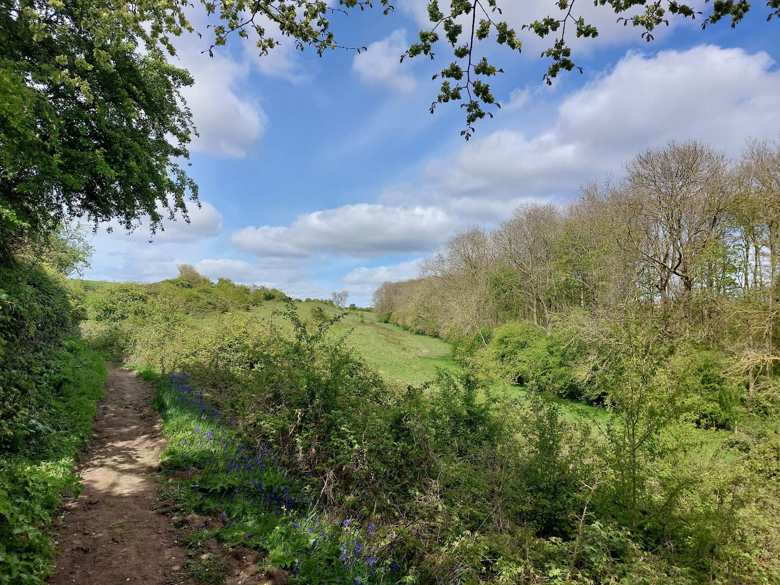 Ledsham Banks Nature Reserve - Image 1