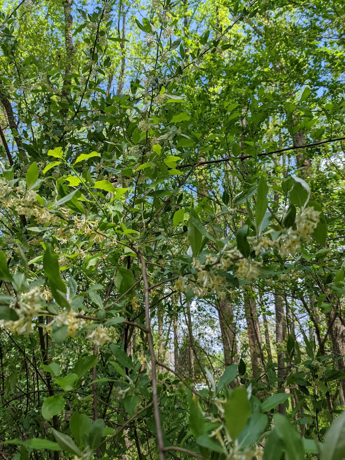 Vertical photo