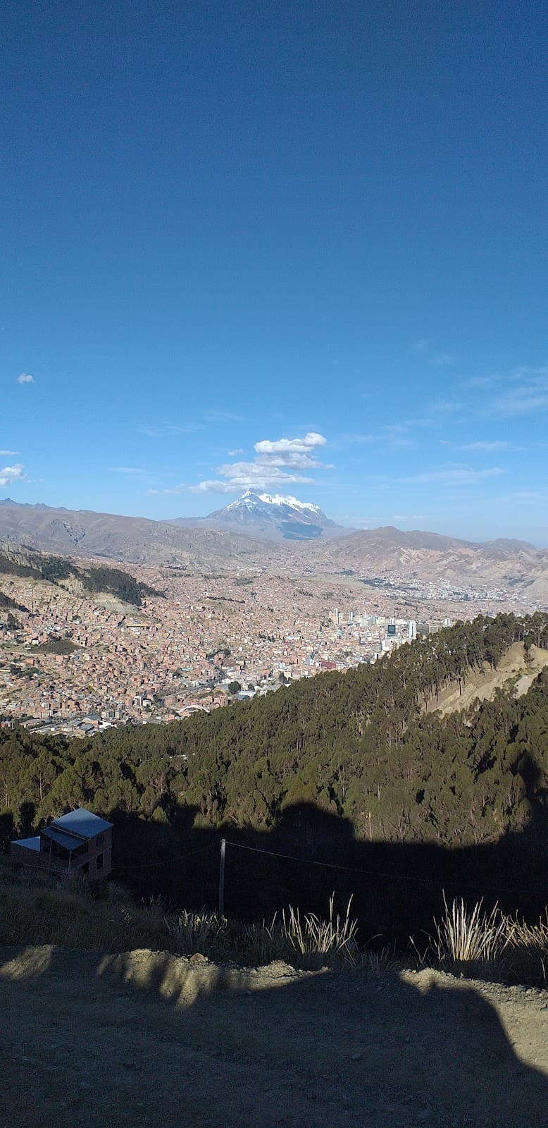 Bosque de Pura Pura - Image 1