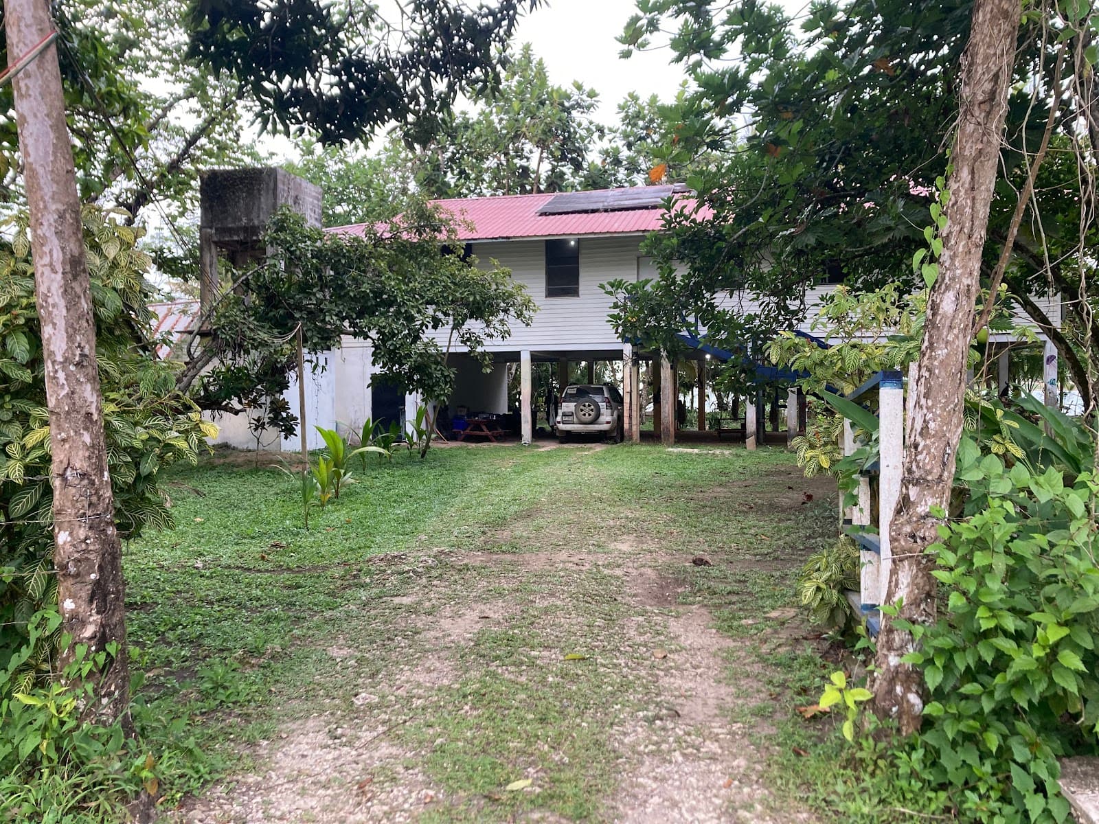 Drago–Starfish boardwalk - Image 1